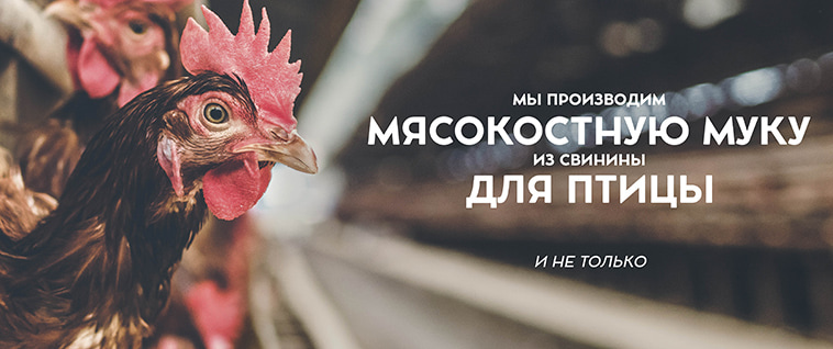 Свиная мука Свиная мука
